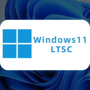 【LTSC】Windows 11 企业版LTSC官方版