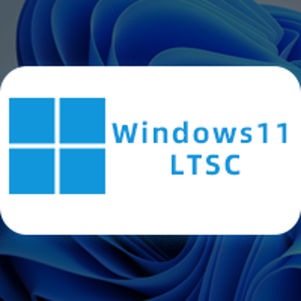 【LTSC】Windows 11 企业版LTSC官方版
