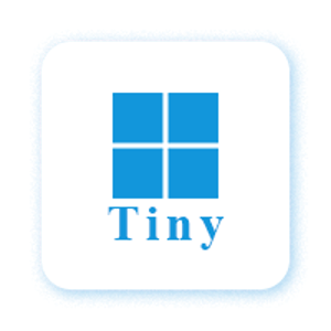 【Tiny】Windows 11 精简版